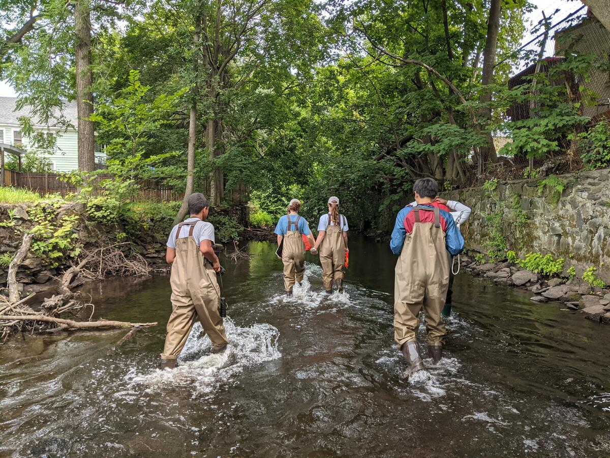 MH-YES in Wappinger Creek, Cary Institute